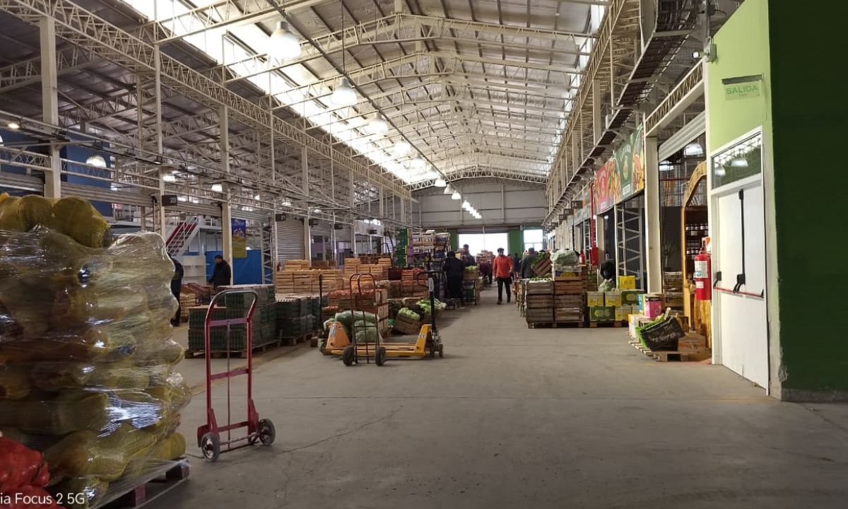El Mercado Concentrador Trelew capacita en ventas digitales para el sector frutihortícola