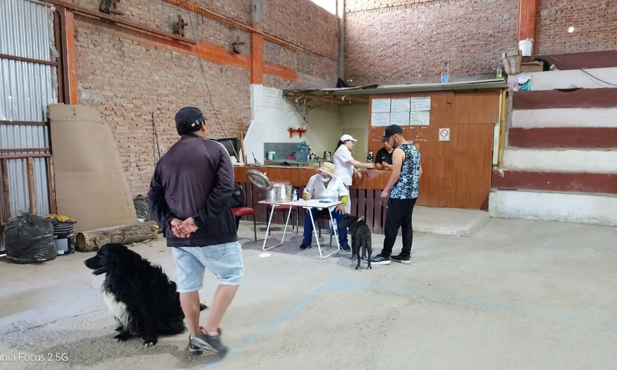 Zoonosis continúa con la campaña gratuita de desparasitación en los barrios de Trelew