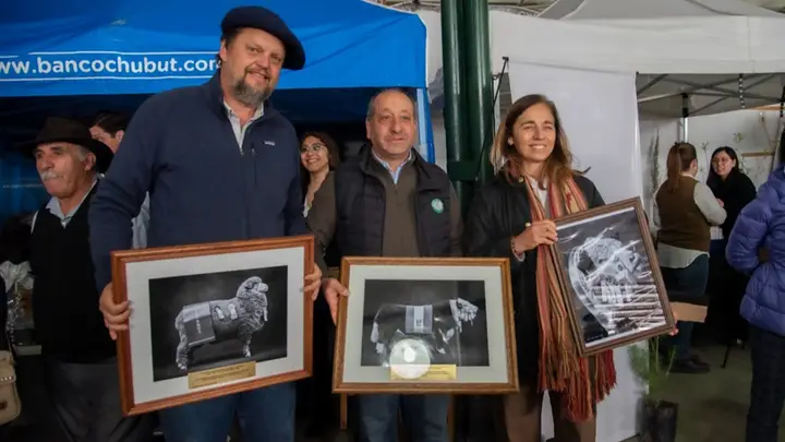 Se vendió el 100% de los animales que salieron a remate en la exposición de Sarmiento